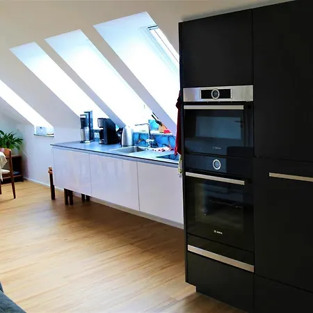 Altes Logierhaus * فيرنغروده